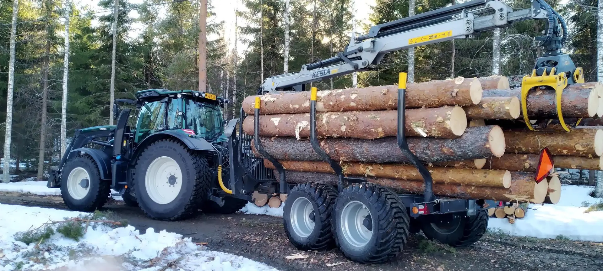 Traktori kuljettamassa puunrunkoja pois työkohteesta